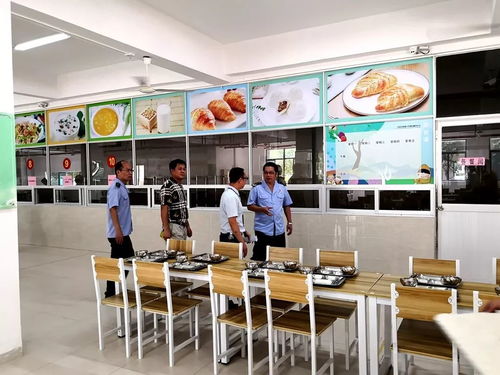 武江區全力推進“互聯網+明廚亮灶”工程建設 守護師生“舌尖上的安全”